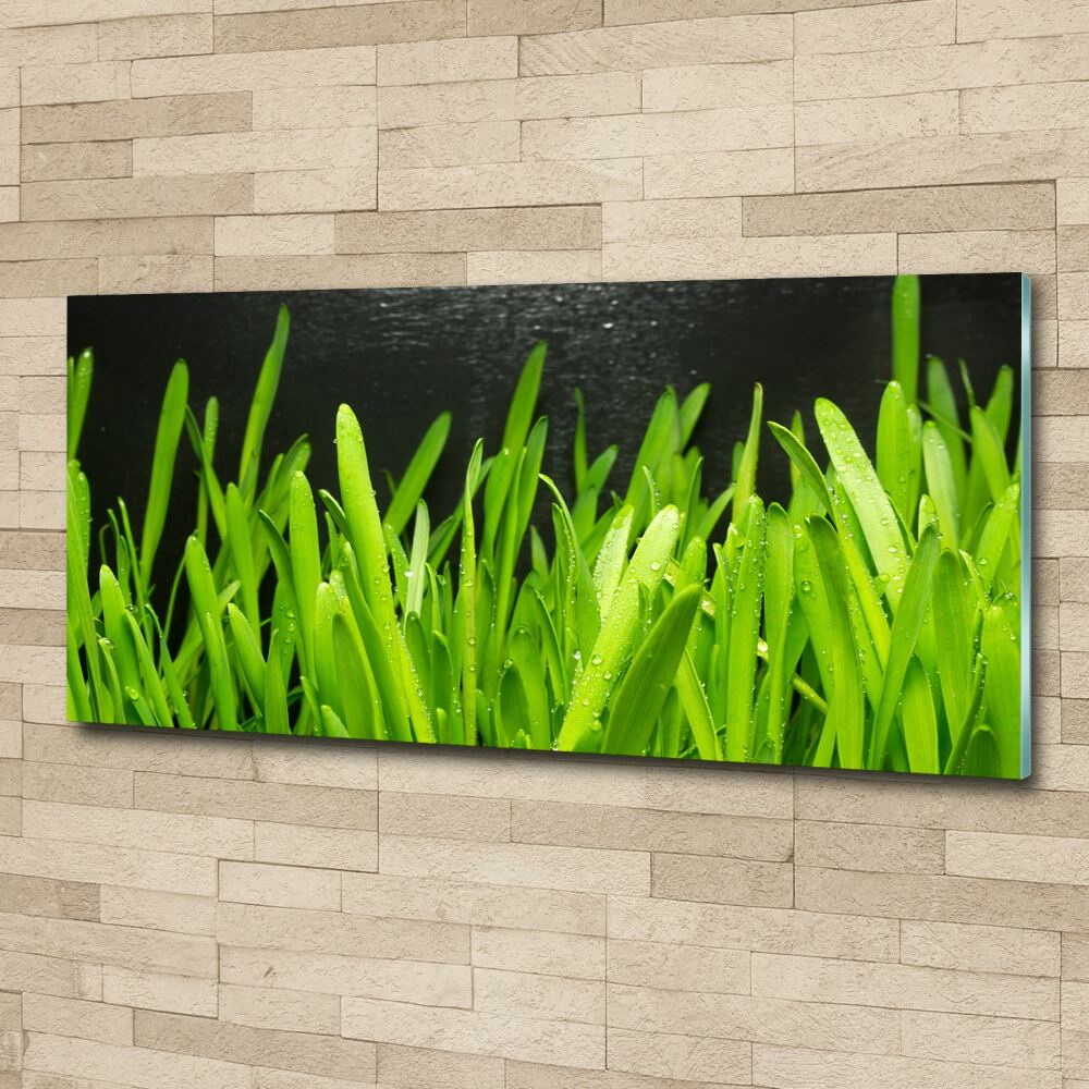 Print on acrylic Grass