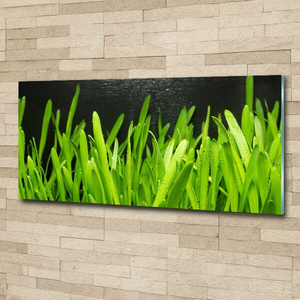 Print on acrylic Grass