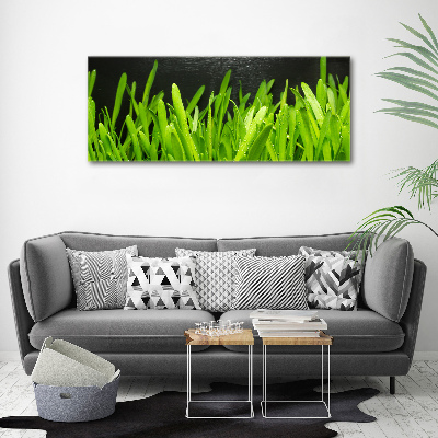 Print on acrylic Grass