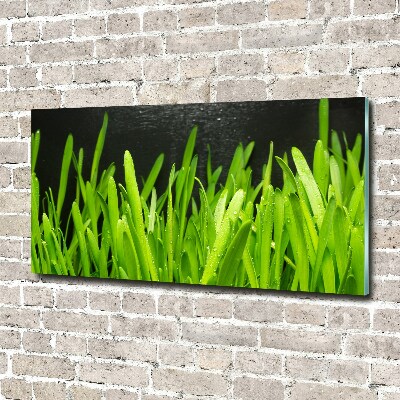 Print on acrylic Grass