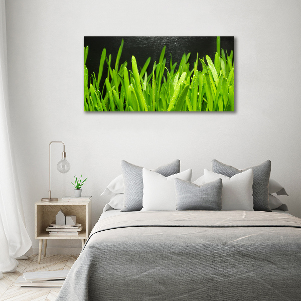 Print on acrylic Grass