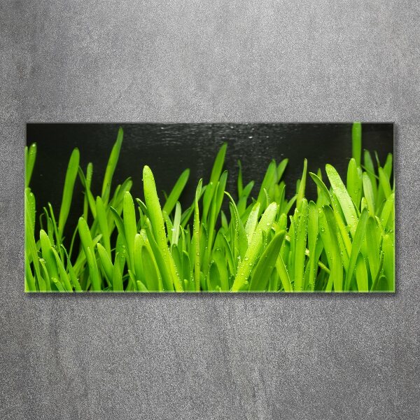 Print on acrylic Grass