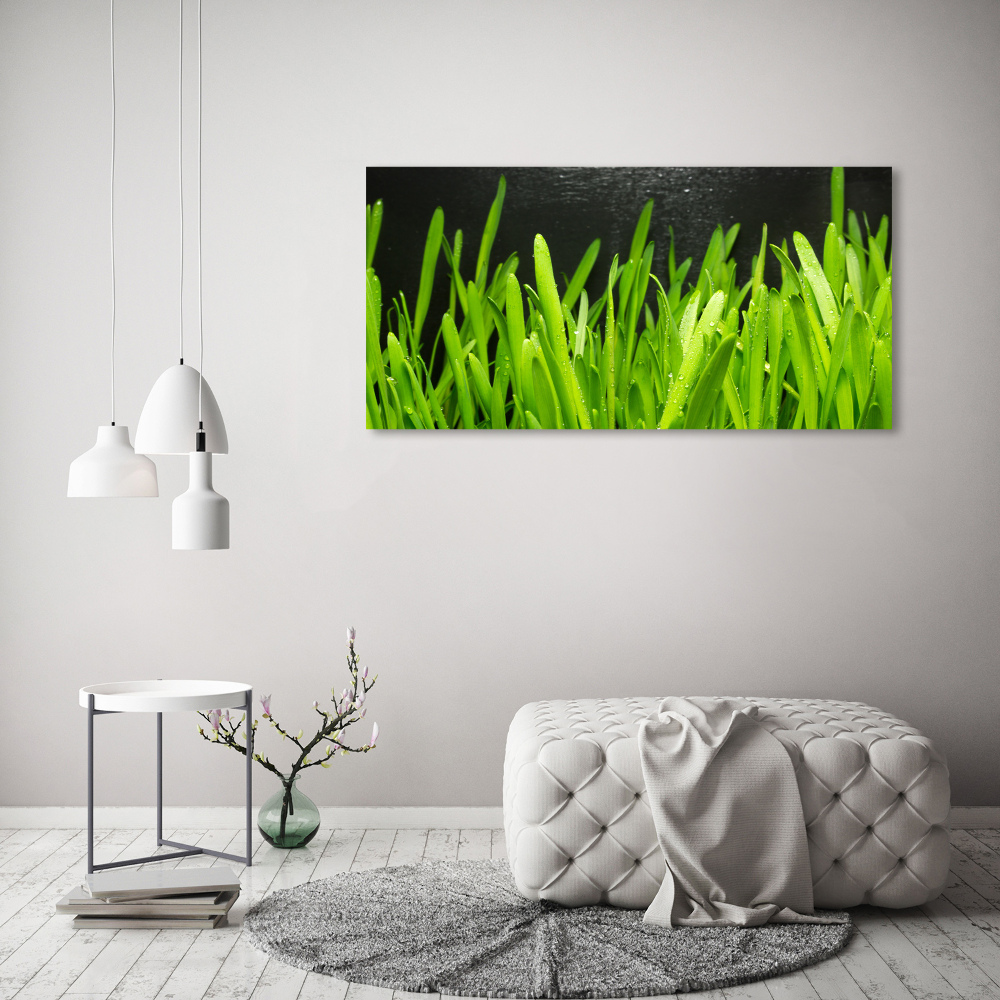 Print on acrylic Grass