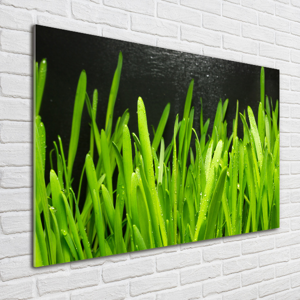 Print on acrylic Grass