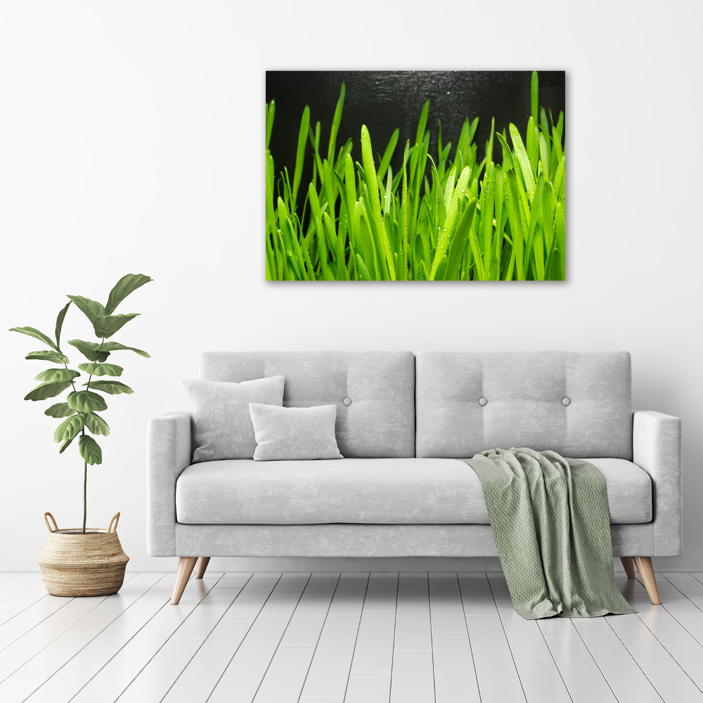 Print on acrylic Grass