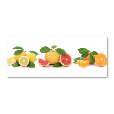 Print on acrylic Citrus fruits