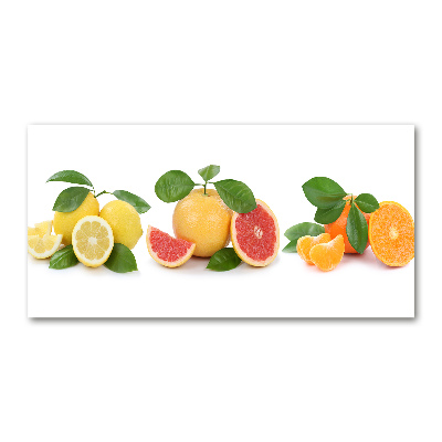 Print on acrylic Citrus fruits