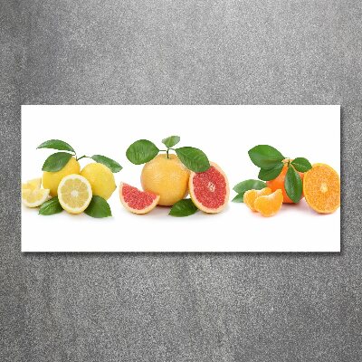 Print on acrylic Citrus fruits