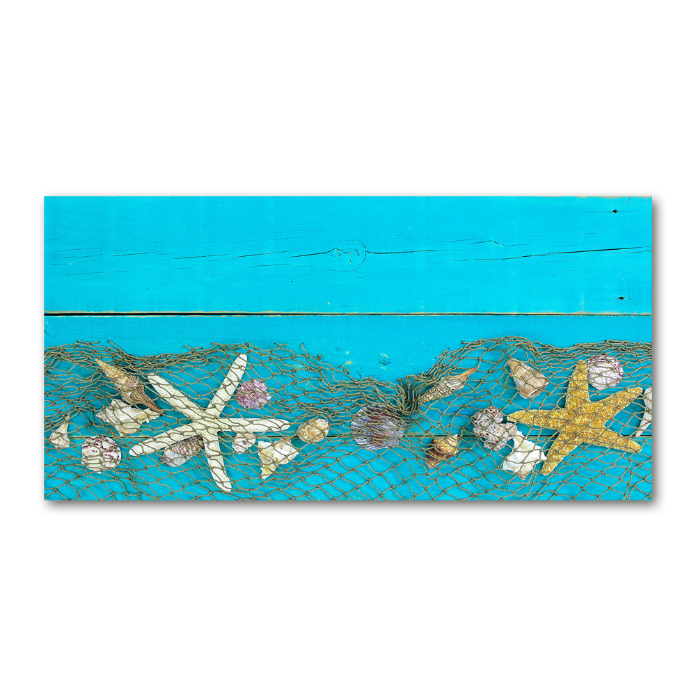 Print on acrylic Starfish and shells