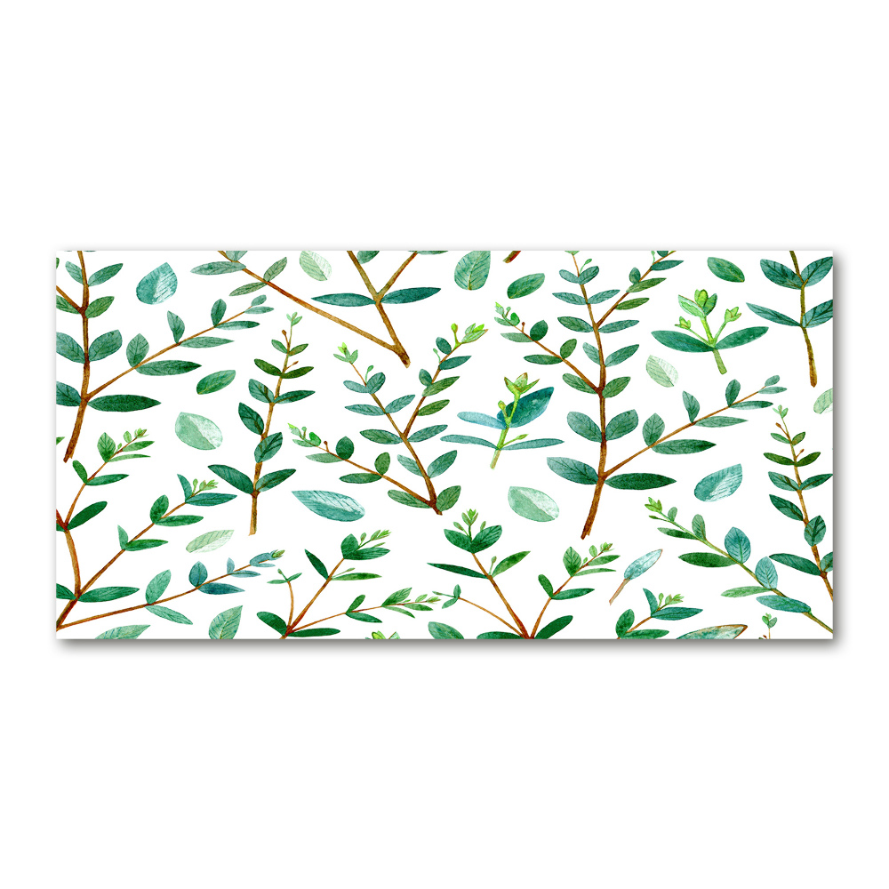 Acrylic wall art Eucalyptus