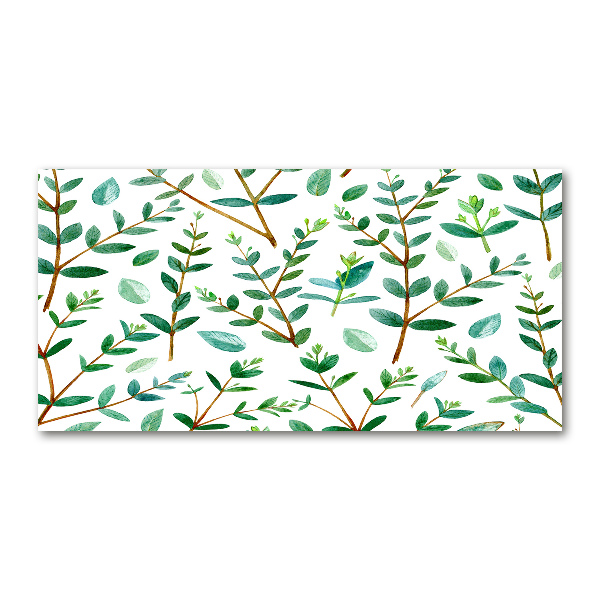 Acrylic wall art Eucalyptus