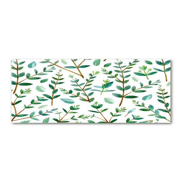 Acrylic wall art Eucalyptus