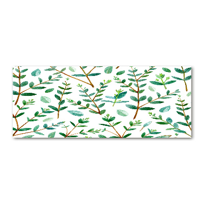 Acrylic wall art Eucalyptus