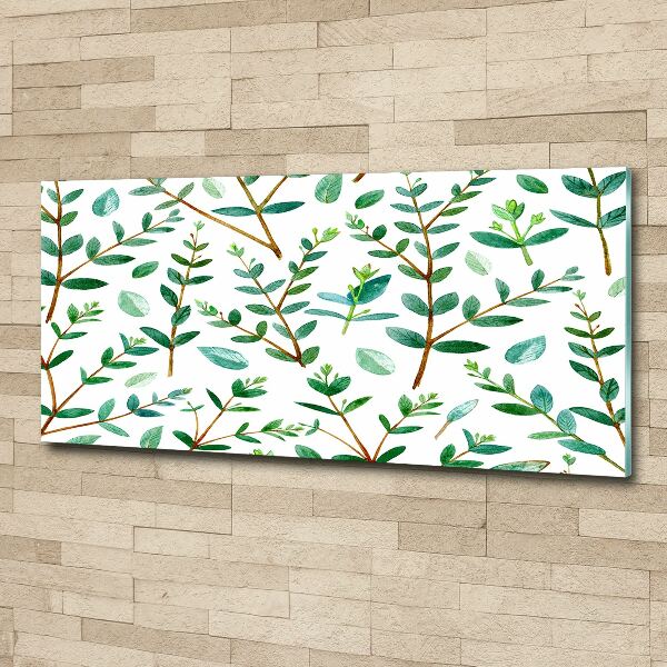 Acrylic wall art Eucalyptus