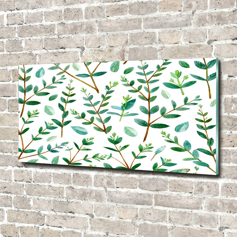 Acrylic wall art Eucalyptus