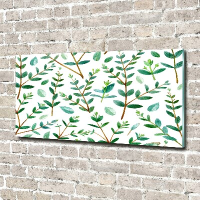 Acrylic wall art Eucalyptus