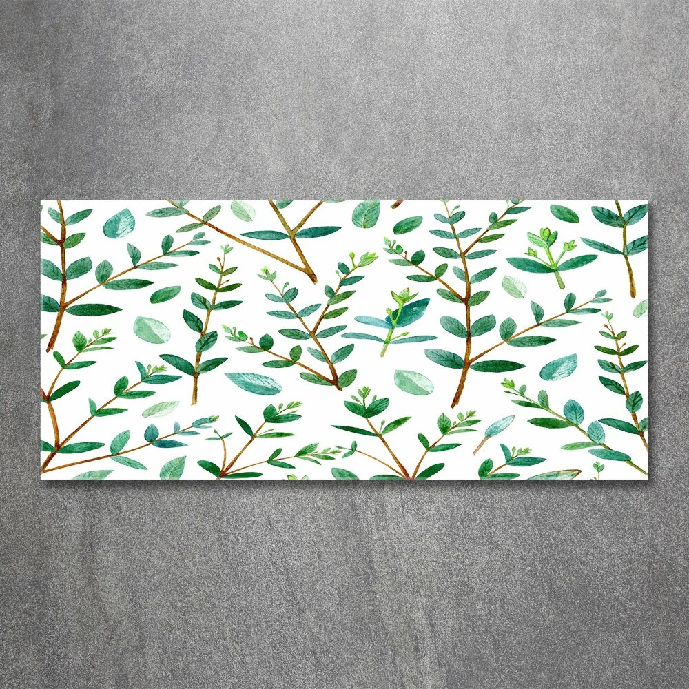 Acrylic wall art Eucalyptus