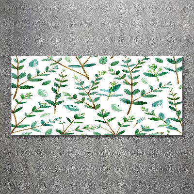 Acrylic wall art Eucalyptus