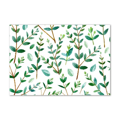 Acrylic wall art Eucalyptus