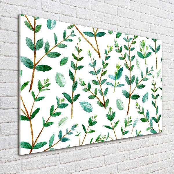 Acrylic wall art Eucalyptus