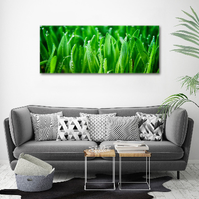 Print on acrylic Grass