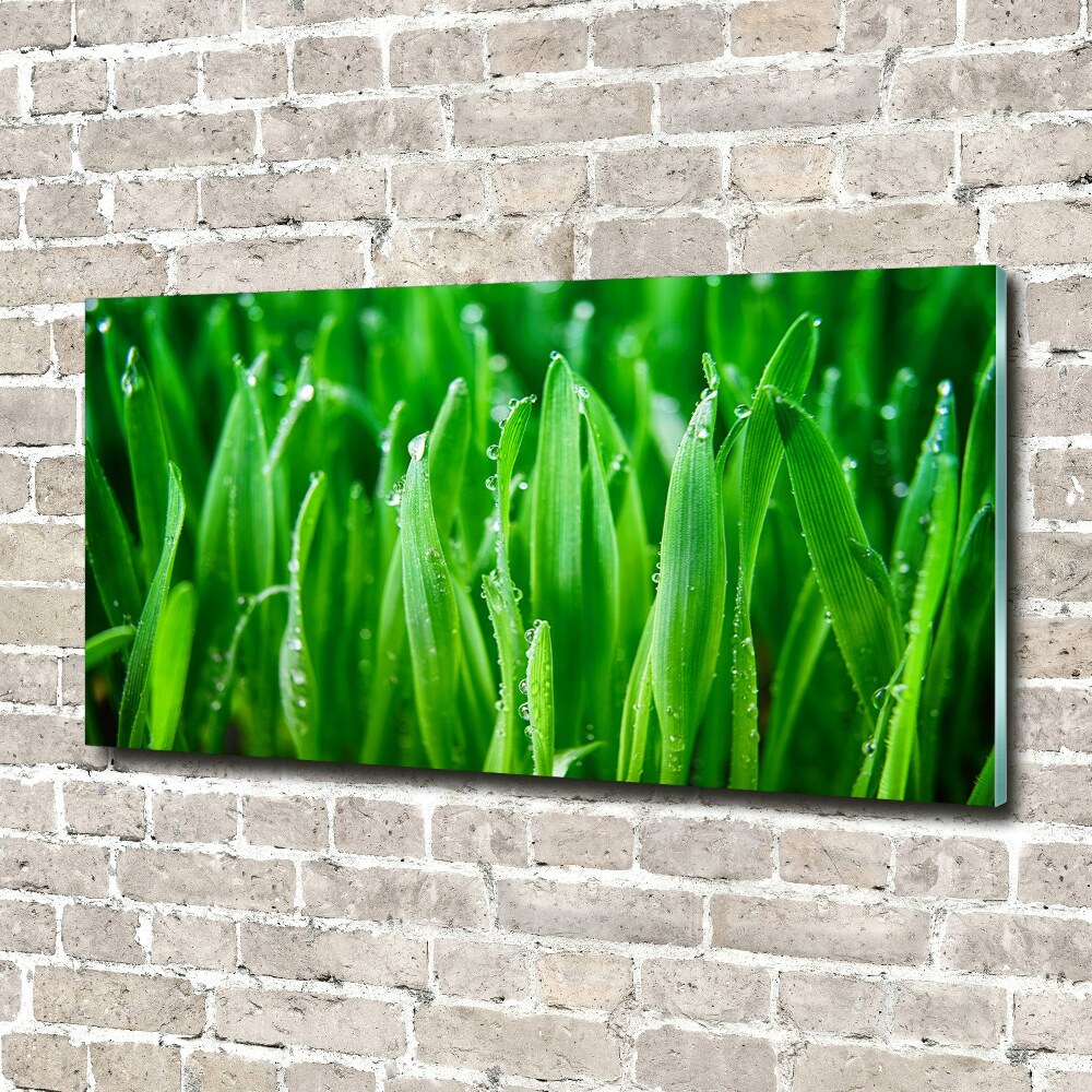 Print on acrylic Grass