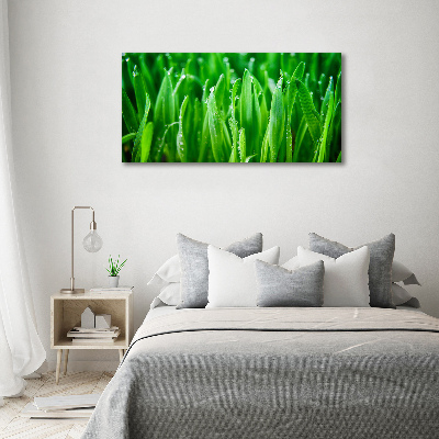 Print on acrylic Grass