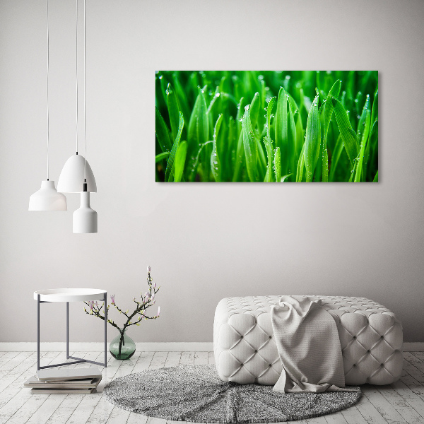 Print on acrylic Grass