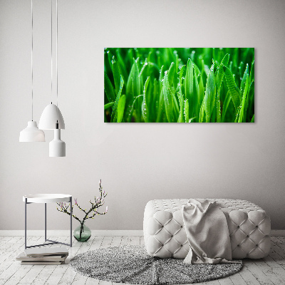 Print on acrylic Grass