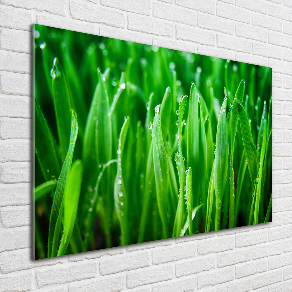 Print on acrylic Grass