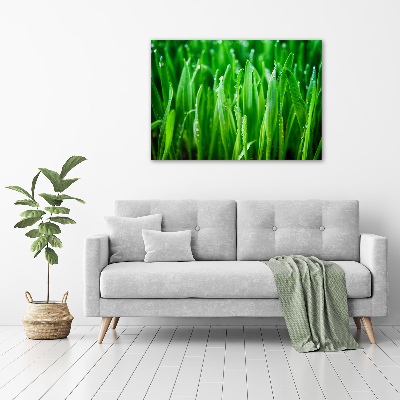 Print on acrylic Grass