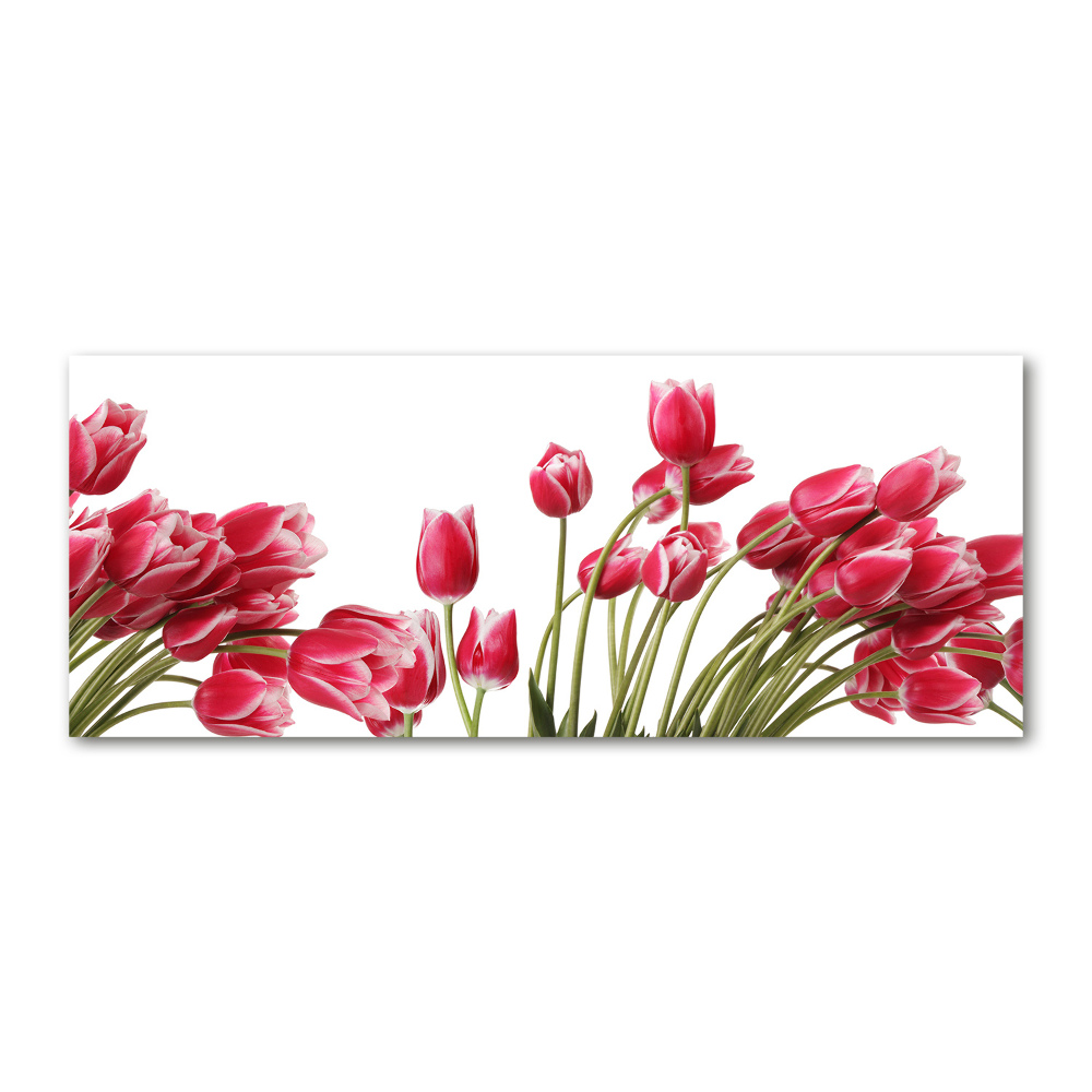 Print on acrylic Red tulips