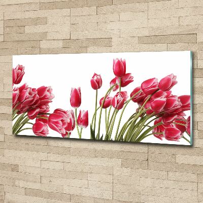 Print on acrylic Red tulips