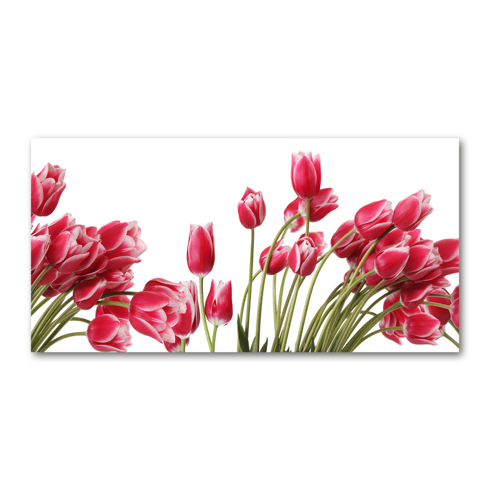 Print on acrylic Red tulips