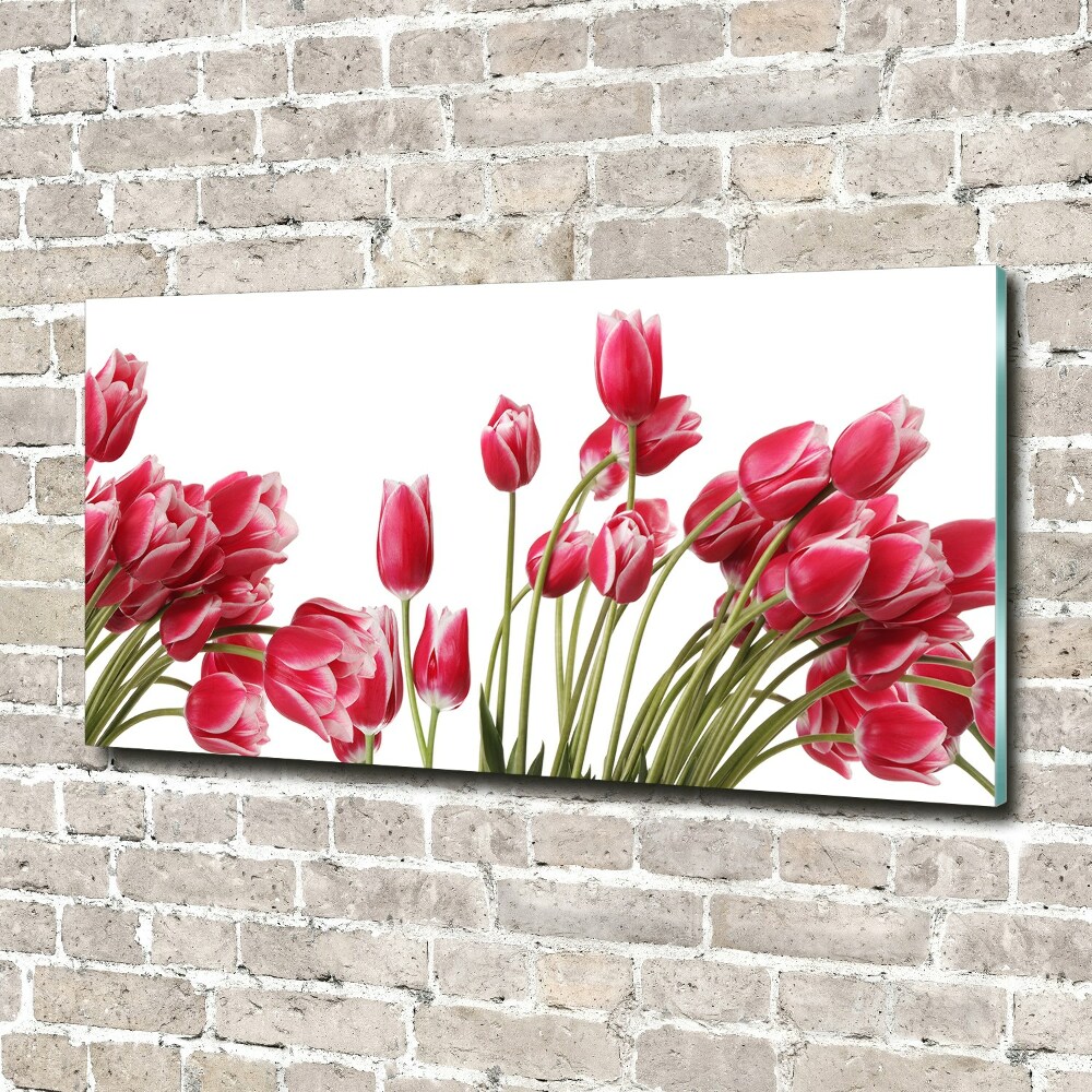 Print on acrylic Red tulips