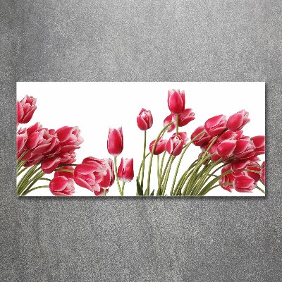 Print on acrylic Red tulips