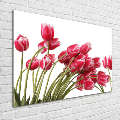 Print on acrylic Red tulips