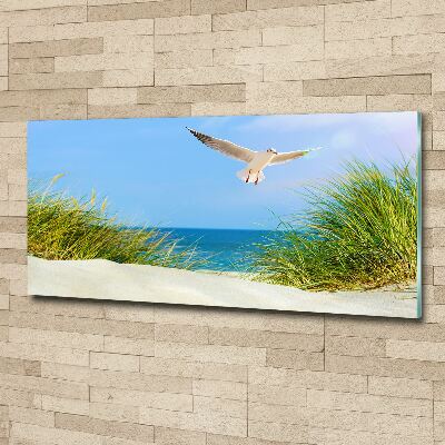 Print on acrylic Seagull on the beach