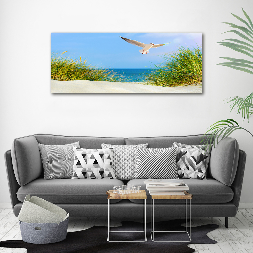 Print on acrylic Seagull on the beach