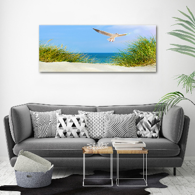 Print on acrylic Seagull on the beach