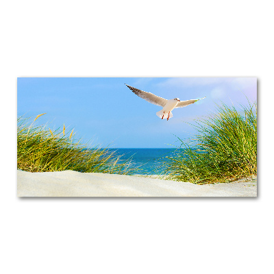 Print on acrylic Seagull on the beach