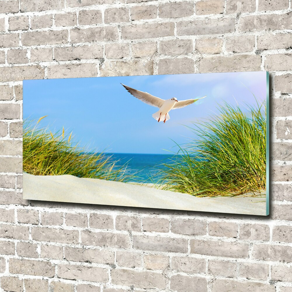 Print on acrylic Seagull on the beach