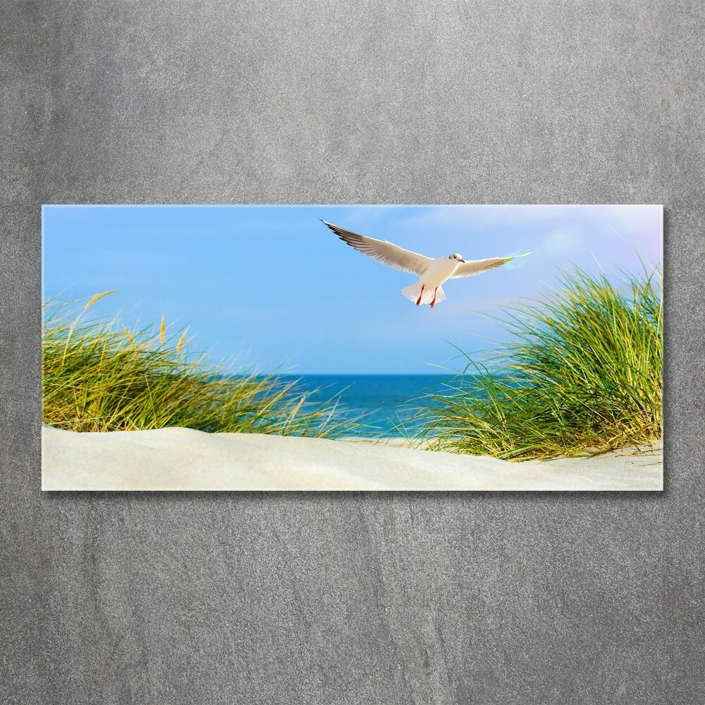 Print on acrylic Seagull on the beach