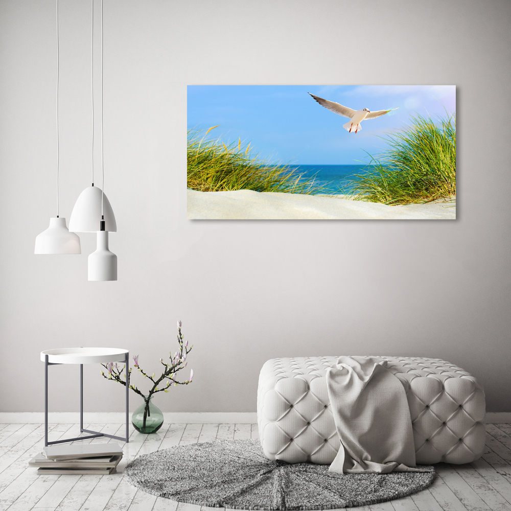 Print on acrylic Seagull on the beach