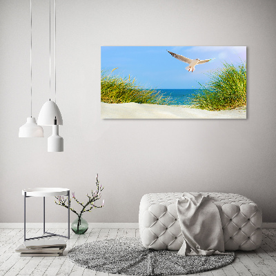 Print on acrylic Seagull on the beach