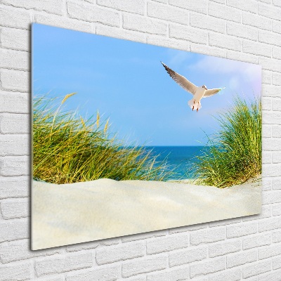 Print on acrylic Seagull on the beach