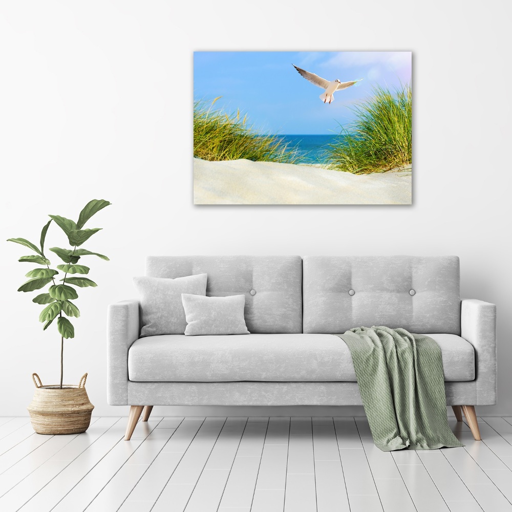 Print on acrylic Seagull on the beach