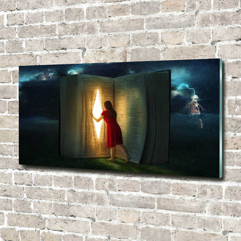 Acrylic wall art The world of books