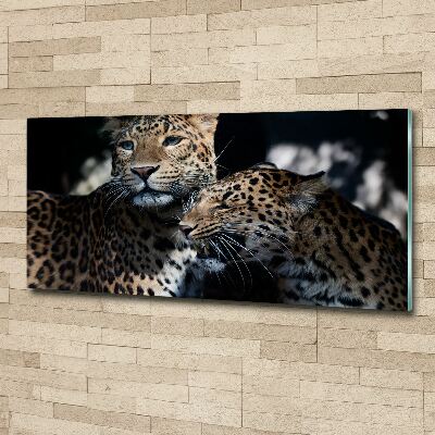 Acrylic wall art Two leopards