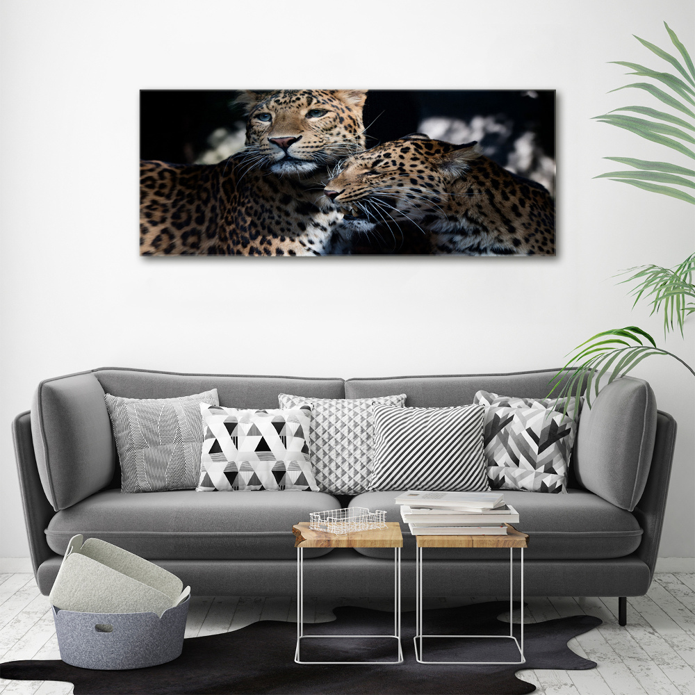 Acrylic wall art Two leopards